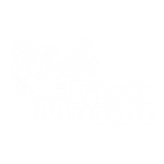 Fishmama